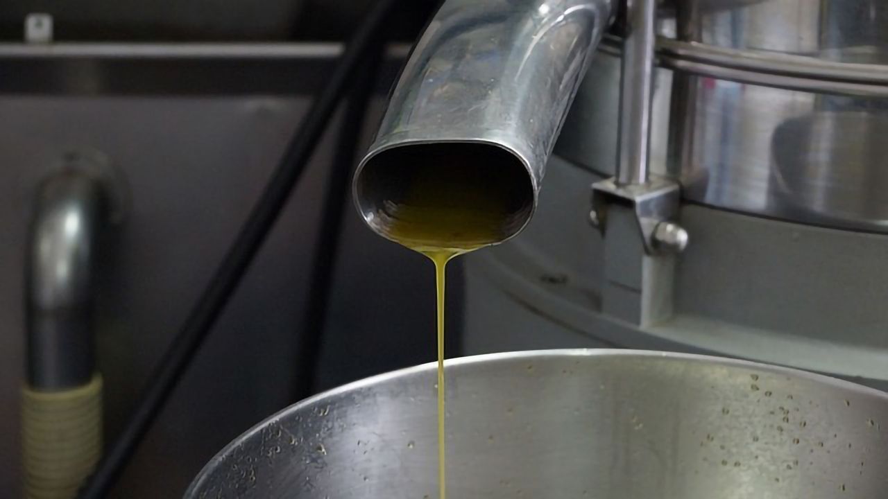 Yeast Biosurfactant Could Help To Combat Bacterial Biofilms in Food and Healthcare Industries