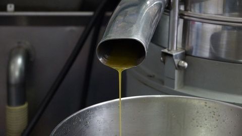 Yeast Biosurfactant Could Help To Combat Bacterial Biofilms in Food and Healthcare Industries