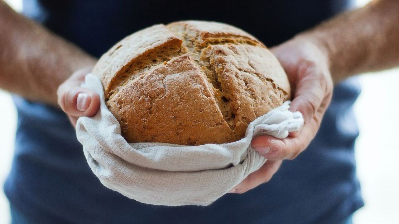 Tactical Bread Mold Avoids Infection by Mutating Its Own DNA