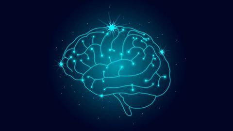 Fluorescence Trapped in Ribosomes for More Specific Brain Imaging