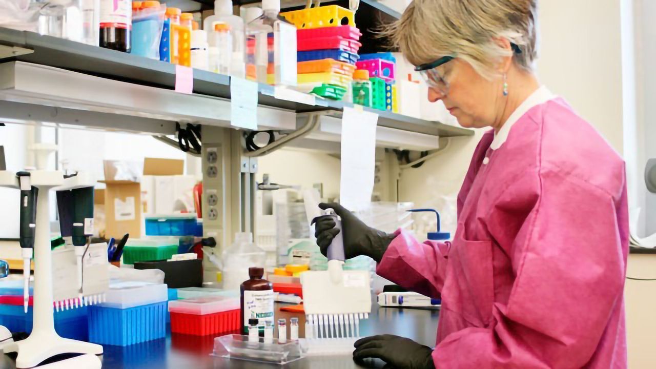 Studies Reveal New Insights on SARS-CoV-2 Testing