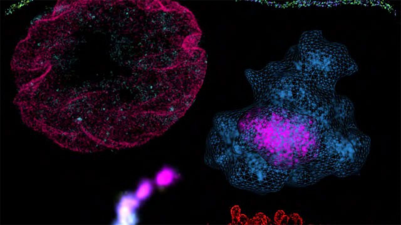 Single Molecule Localization Microscopy: Introduction and Applications
