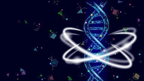 Genetic Analysis Points Towards Distinct Subtypes of Polycystic Ovary Syndrome