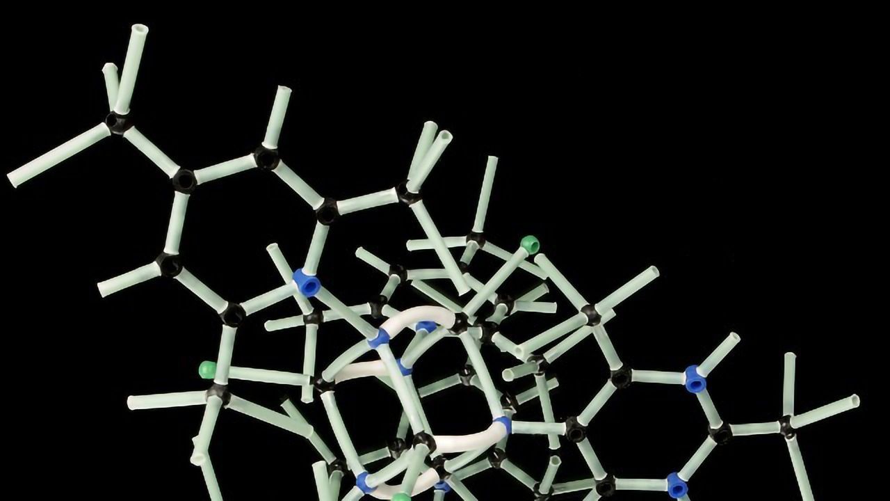 Codexis and Molecular Assemblies Partner To Transform the Field of DNA Synthesis