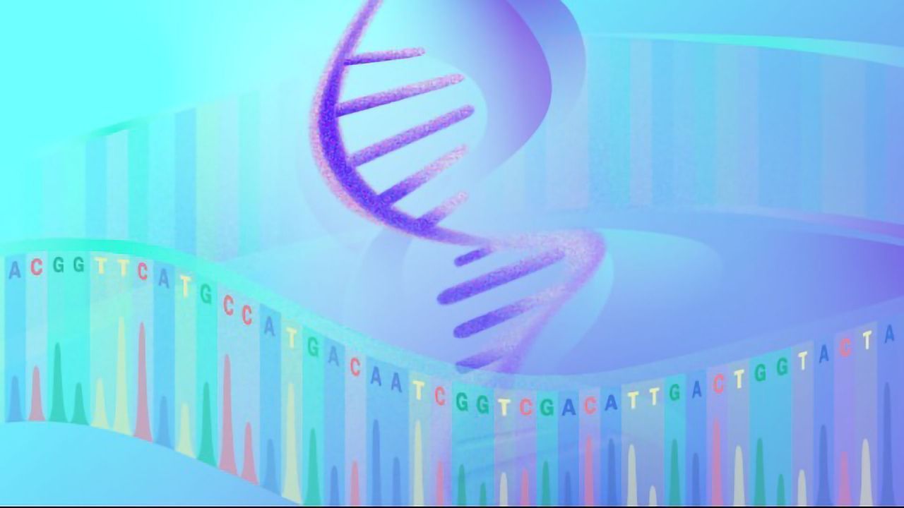 RNA Sequencing as an Alternative to Immunohistochemistry for Cancer Diagnostics