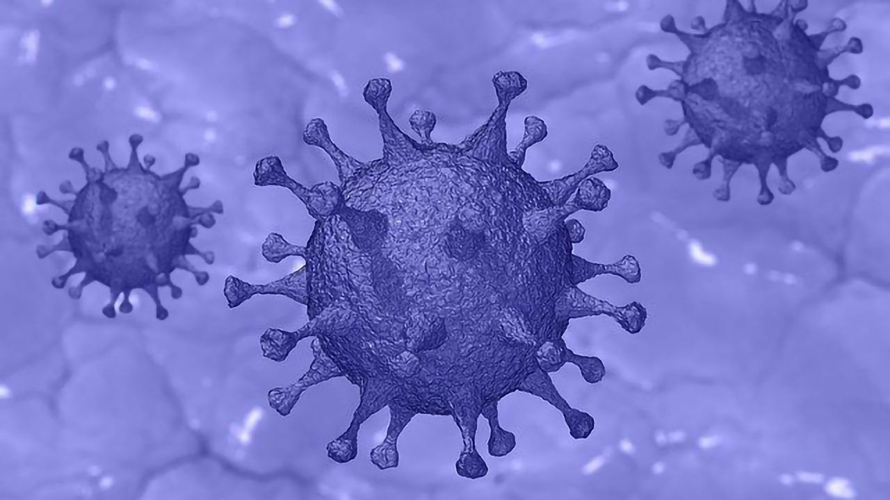 Specific Antibody Targets on SARS-CoV-2 Identified