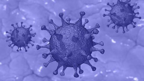 Specific Antibody Targets on SARS-CoV-2 Identified