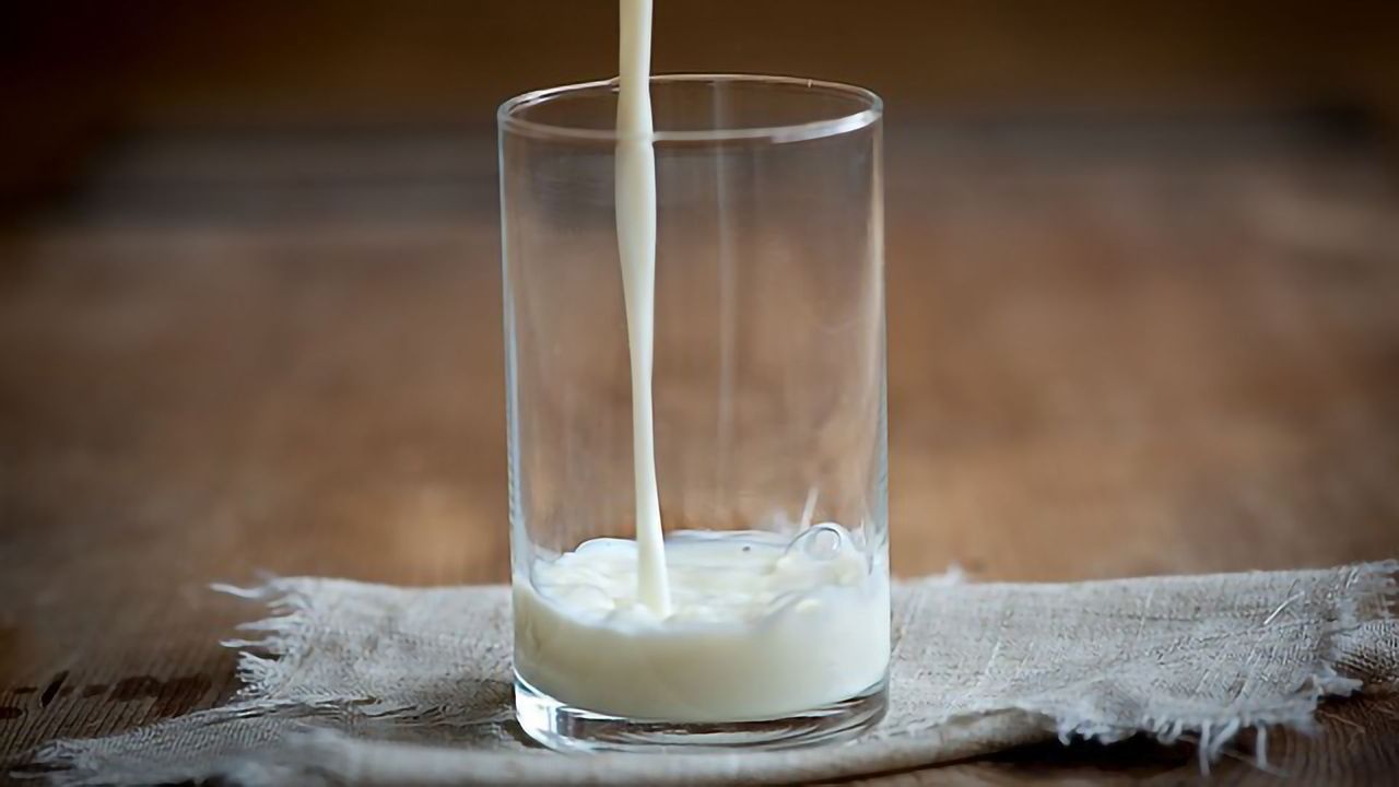 Cow's Milk Protein Prevents Allergy Development
