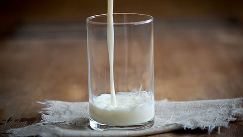 Cow's Milk Protein Prevents Allergy Development