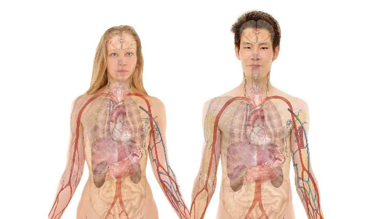 Healthy New Tissue Can Be "Printed" Using Innovative Technique