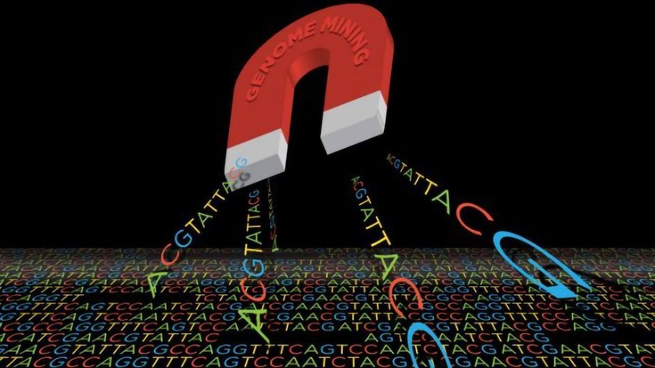Spurring the Production of New Antibiotics Hiding in Bacterial Genomes