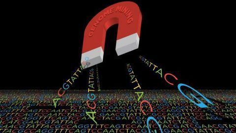 Spurring the Production of New Antibiotics Hiding in Bacterial Genomes