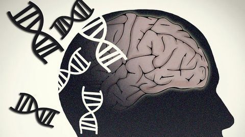 New Genetic Mutations Linked to ASD