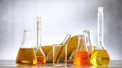 Biocatalysts for Biodiesel Production Generated With Novel Technology