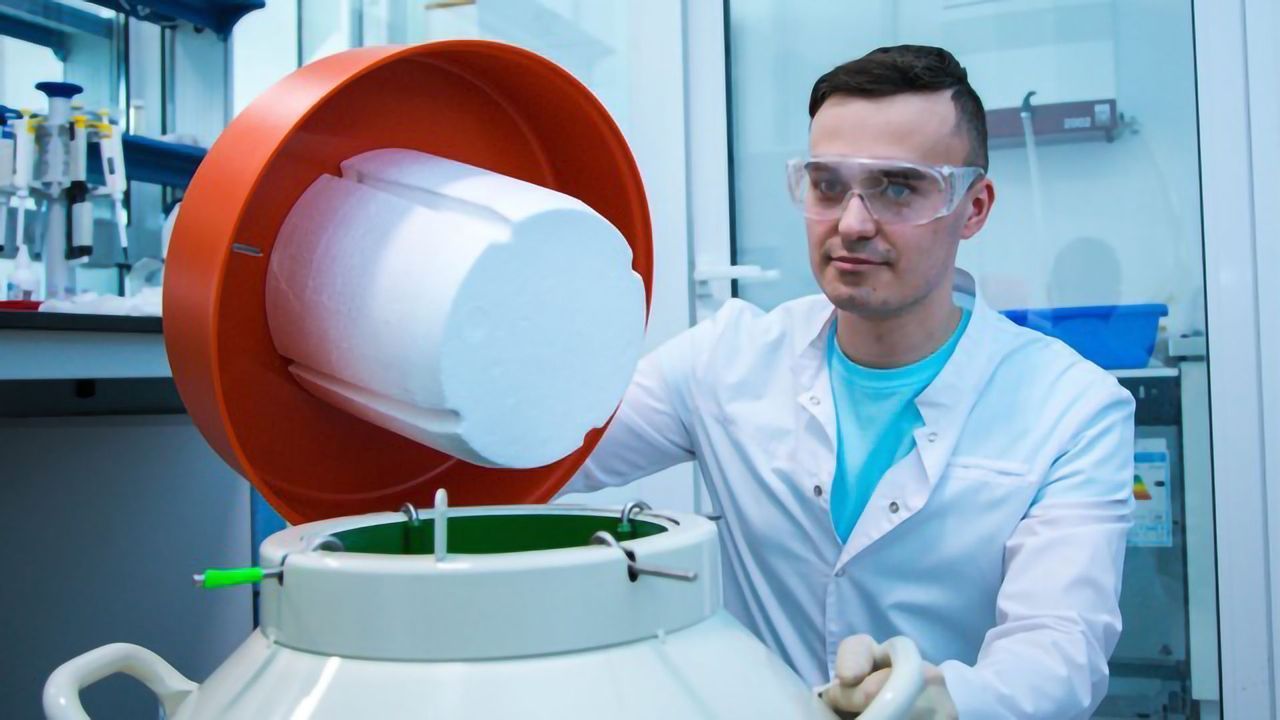 Understanding How Magnet Nanoparticles Affect Cancer Cells in the Liver