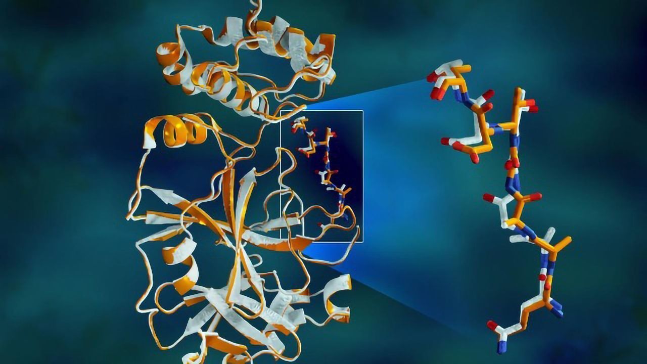 Protein Structure at the "Heart" of SARS-CoV-2 Sized Up With X-rays