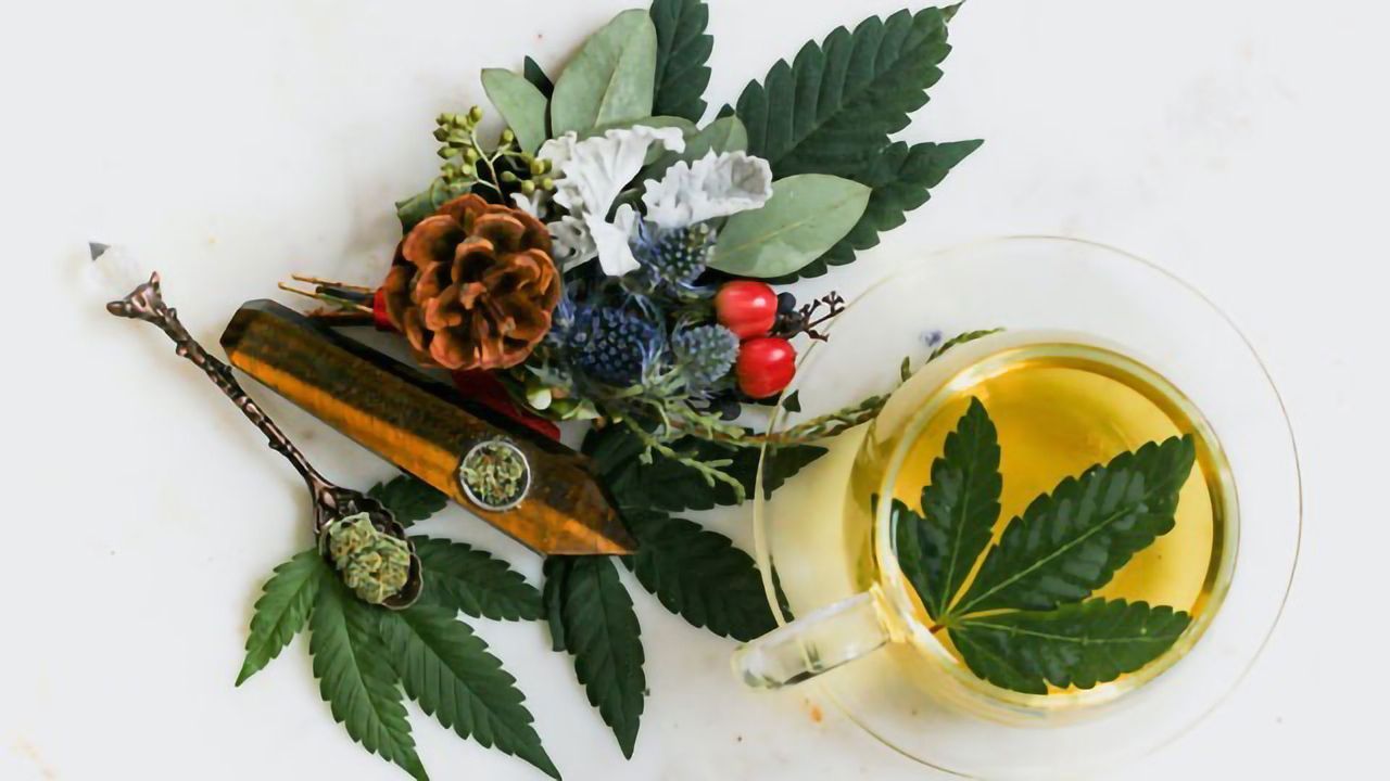 MS Patients Increasingly Turning to Alternative Medicine