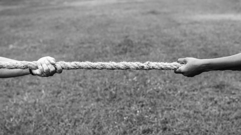 The Tug-of-War at the Heart of Cellular Symmetry