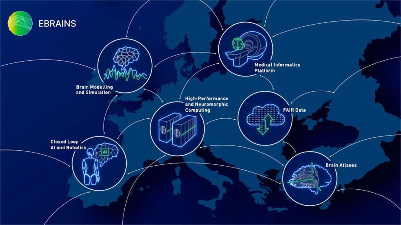 The Human Brain Project Has Entered Its Final Phase of Research