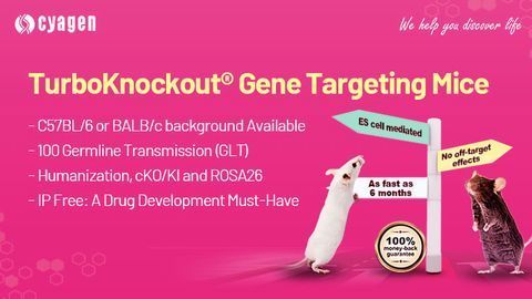 TurboKnockout® Gene Targeting Mice Services
