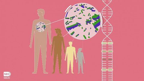 Cause of Common Autoinflammatory Disease May Have Protected Ancestors From Plague