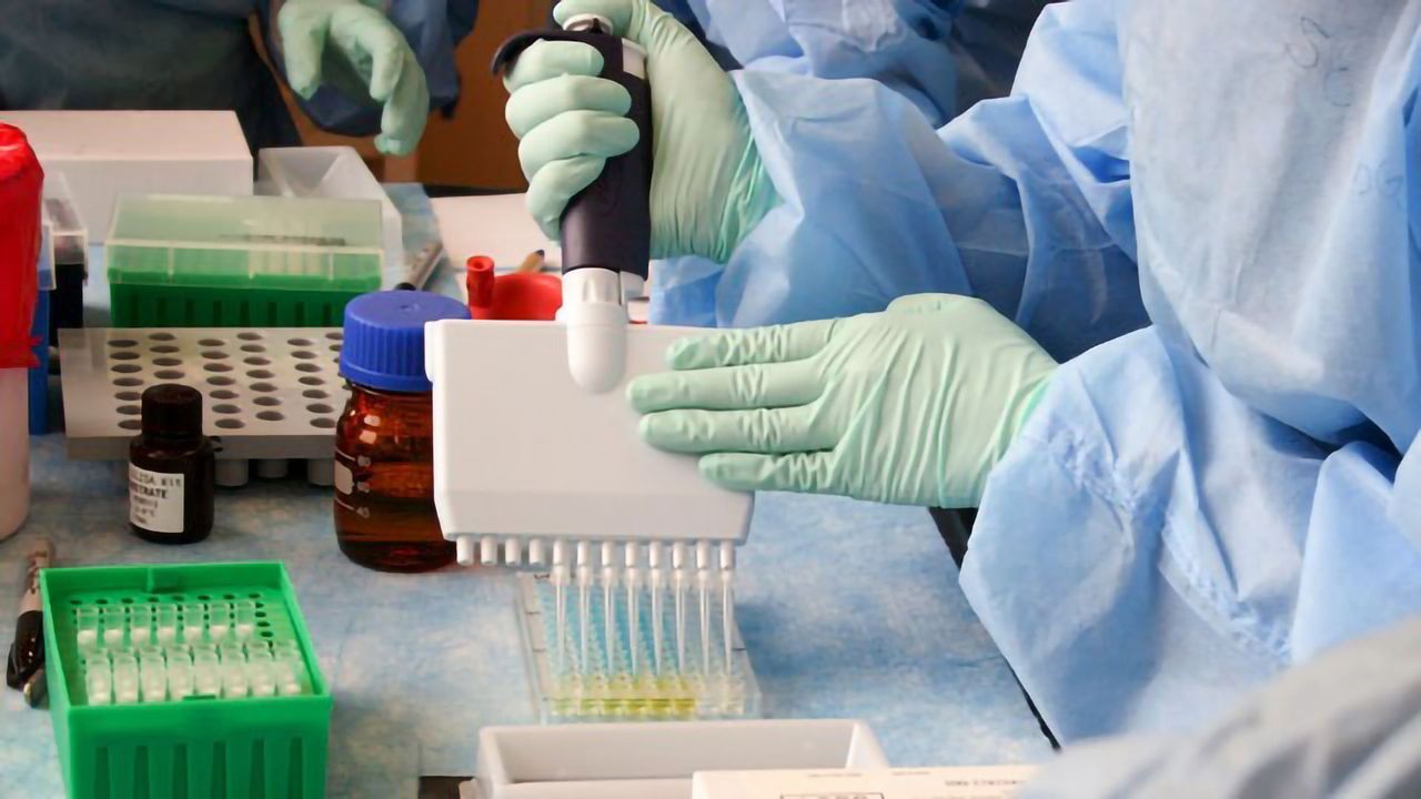 Brazilian Startup Seeks To Develop a Wholly Indigenous COVID-19 Diagnostic Test