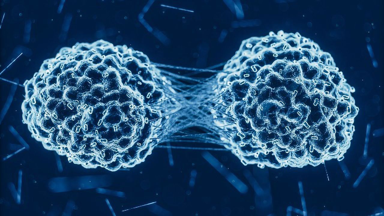 Novel Protein Drives Cancer Progression