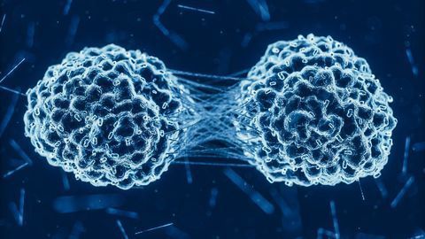 Novel Protein Drives Cancer Progression