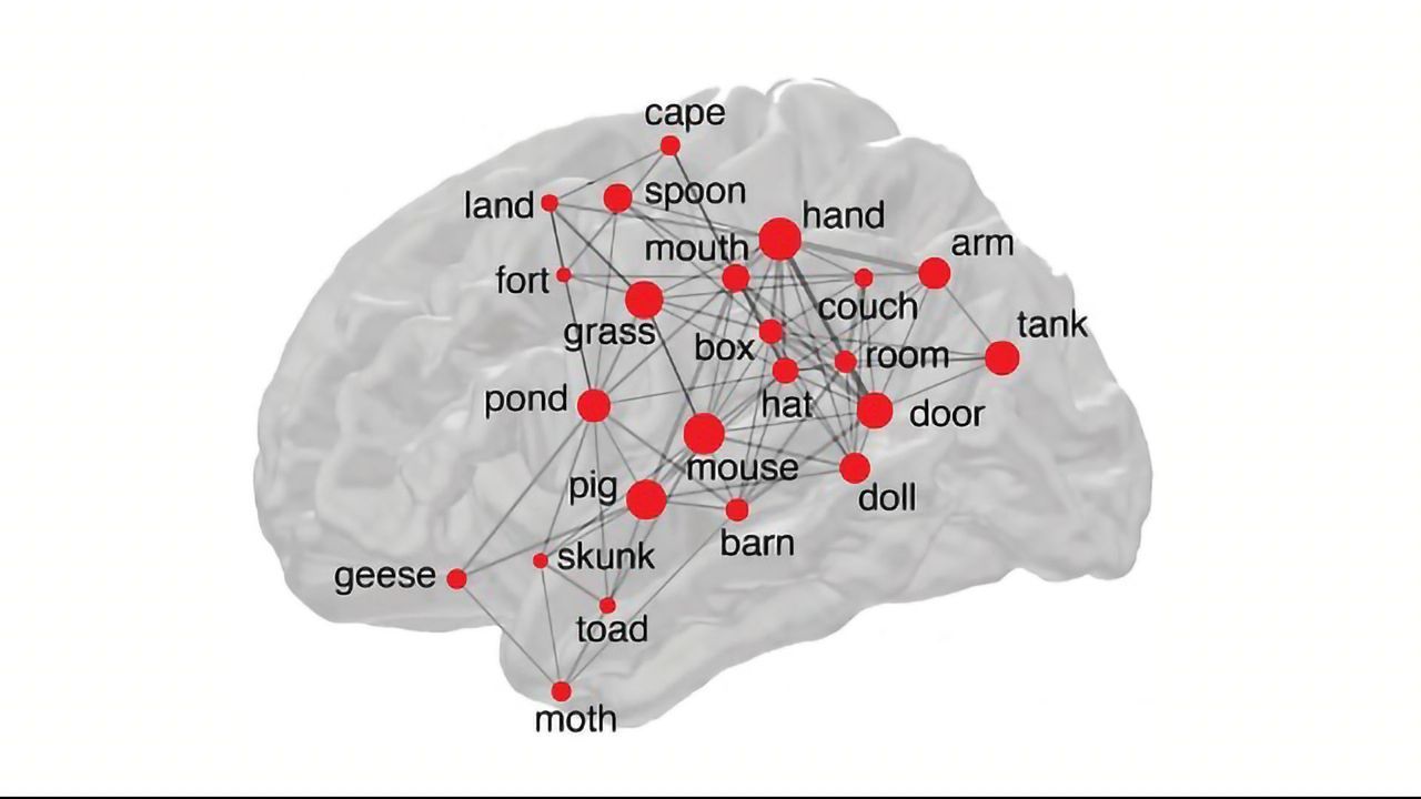 Crowdsourced Study Explores Why Some Words Are More Memorable Than Others