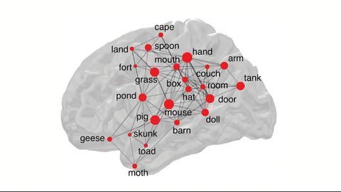 Crowdsourced Study Explores Why Some Words Are More Memorable Than Others