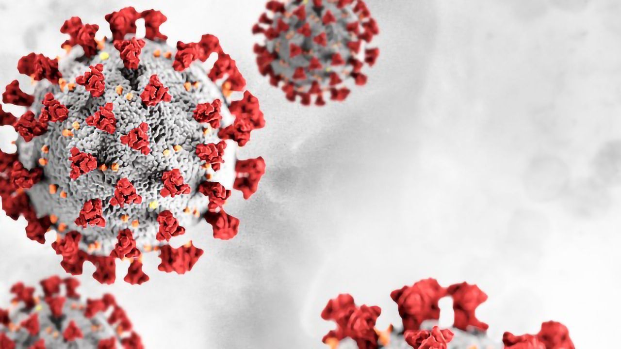 Existing Drugs Could Stop SARS-CoV-2 From Hijacking Cells