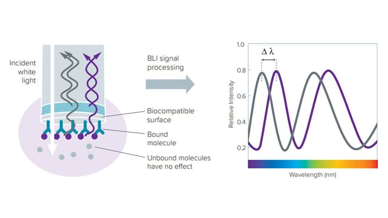 Enhance Efficiency and Economics Throughout Biotherapeutic Development