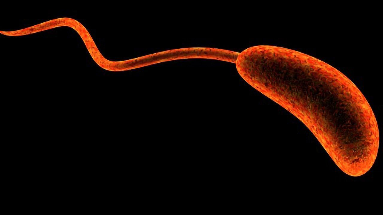 Gut Microbiome Confers Resistance to Cholera for Some