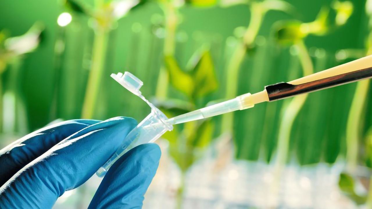 Novel Strategy Generates Useful Compounds for Drug Synthesis