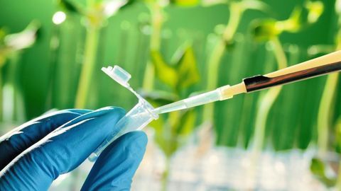 Novel Strategy Generates Useful Compounds for Drug Synthesis