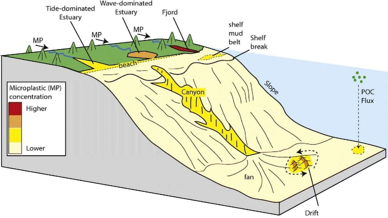 Microplastics Accumulate in Coastal Estuaries and Fjords