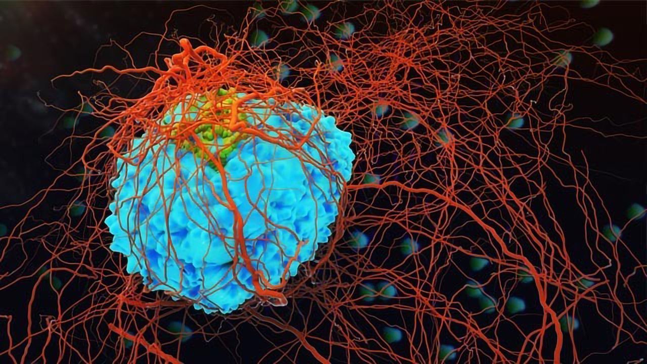 Key Protein Behind Cancer Relapse and Progression Uncovered