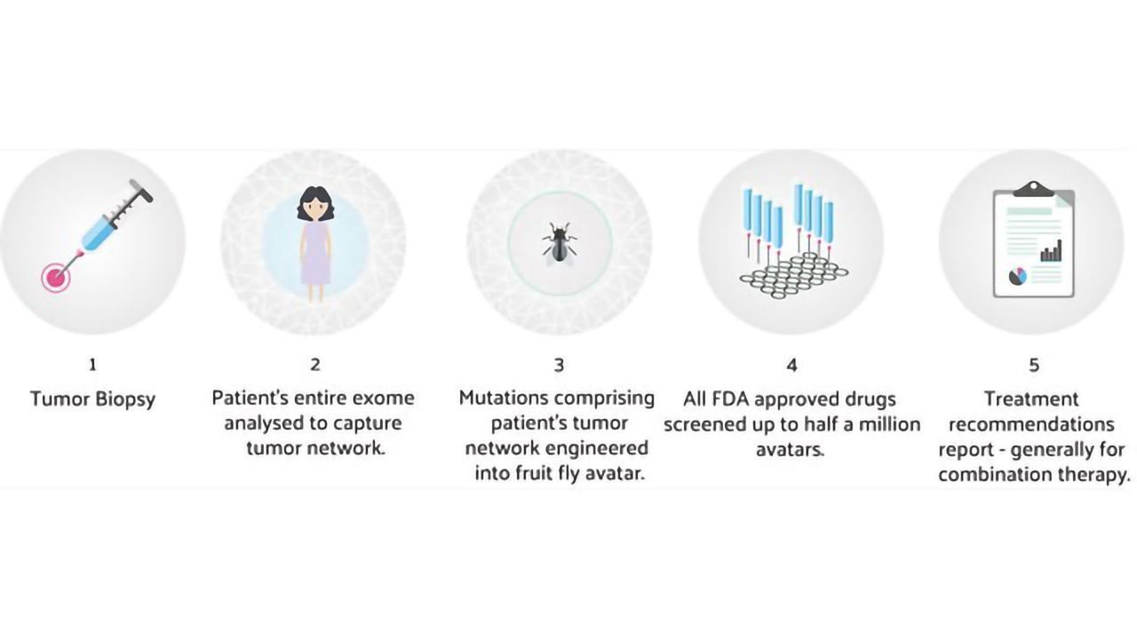 My Personal Therapeutics and Pentavere Receive EUREKA Funding to Support AI-based Personalized Cancer Treatment Plans