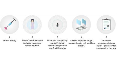 My Personal Therapeutics and Pentavere Receive EUREKA Funding to Support AI-based Personalized Cancer Treatment Plans