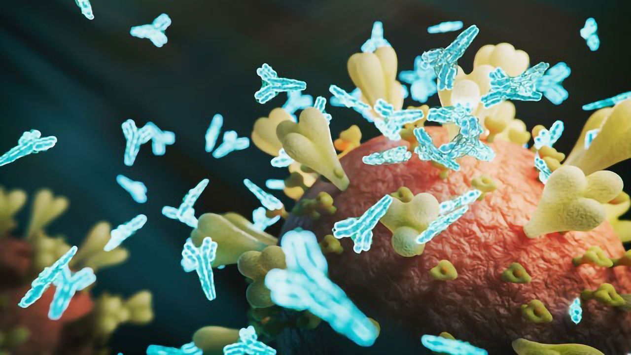 Innate vs Adaptive Immunity