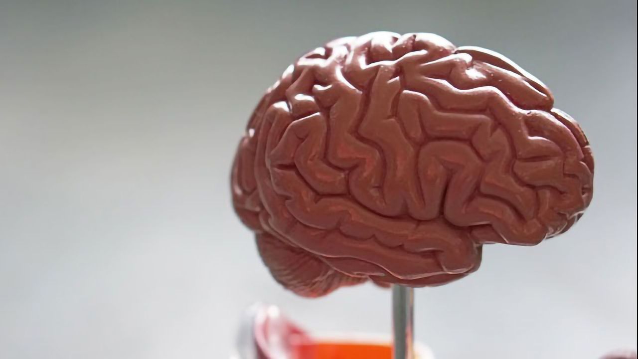 Novel Pathology Could Improve Diagnosis and Treatment of Huntington’s Disease