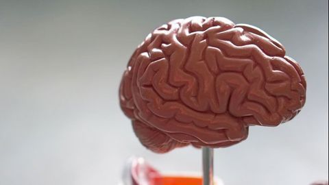 Novel Pathology Could Improve Diagnosis and Treatment of Huntington’s Disease
