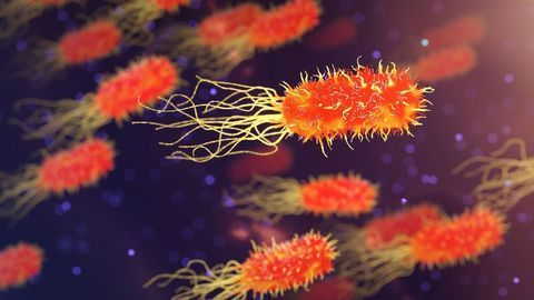Microbiome-based Diagnostic Tool Can Detect Liver Fibrosis and Cirrhosis in Stool Samples
