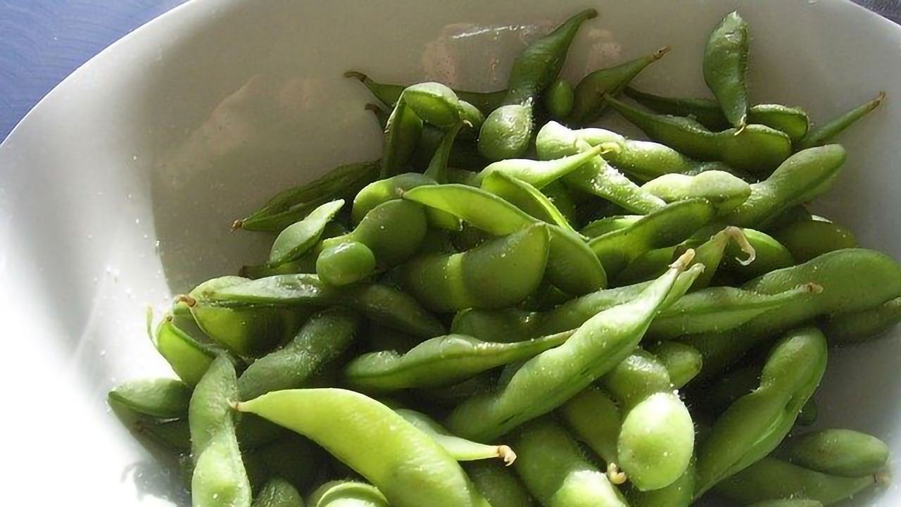 Cooking Up Biobased Plastics From Corn, Soybean and Other Renewables