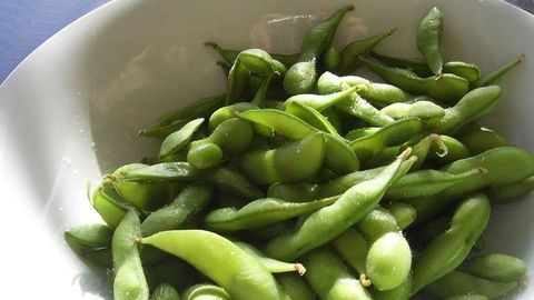 Cooking Up Biobased Plastics From Corn, Soybean and Other Renewables