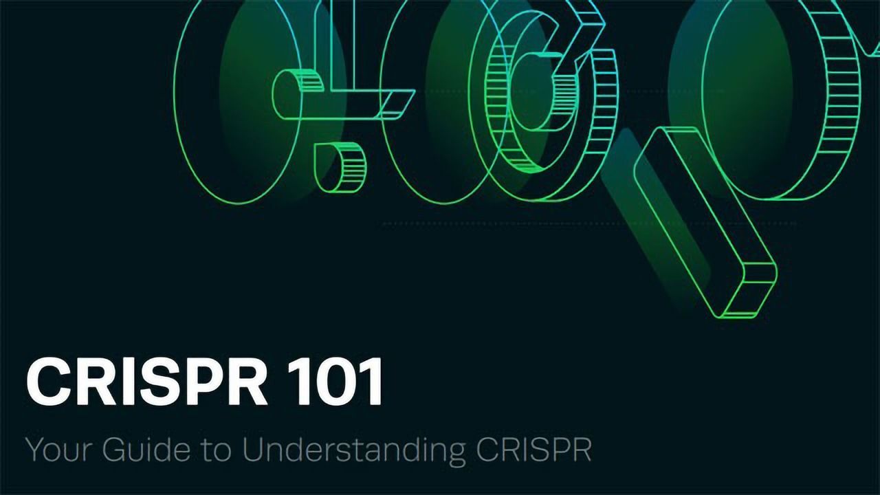 Your Guide to Understanding CRISPR