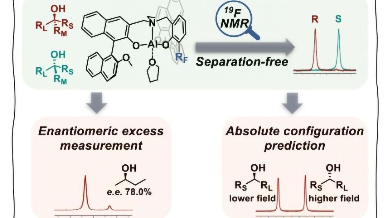 Separation-free "Chiral Chromatographic Analysis" Facilitated by Fluorine