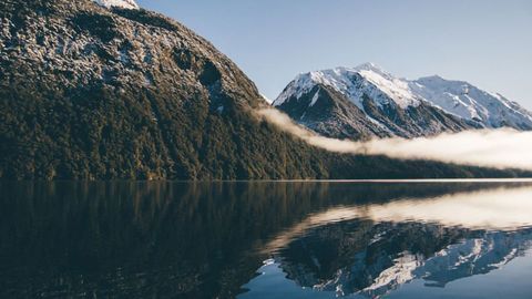 AI Algorithm Examines What Sets Reflections Apart