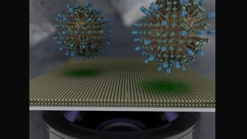 人类细胞“Membrane-on-Chip”帮助寻找药物对COVID-19内容块的形象