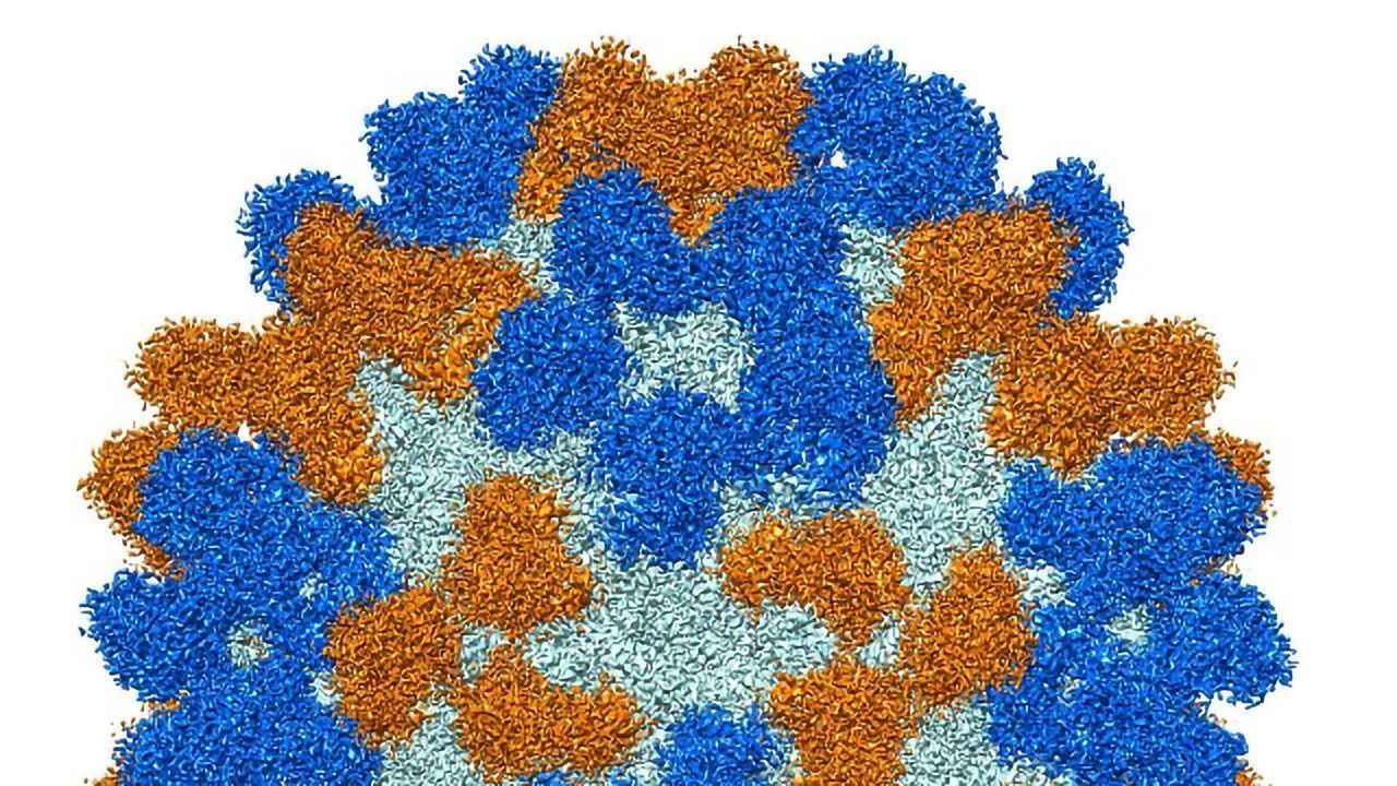 Protective Antibodies for Rare, Polio-like Disease in Children Identified